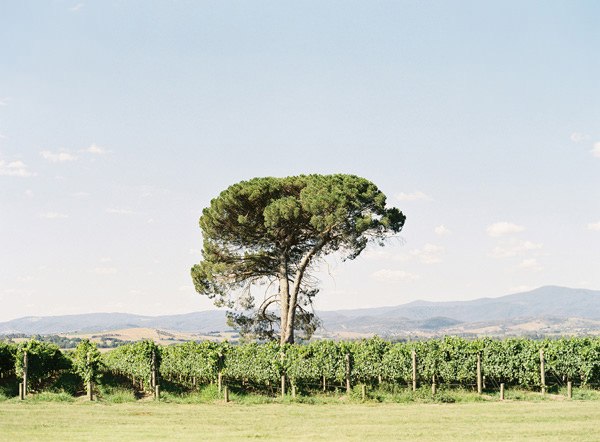 yarra valley wedding photography