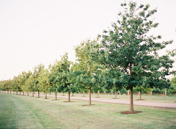 yarra valley wedding photography