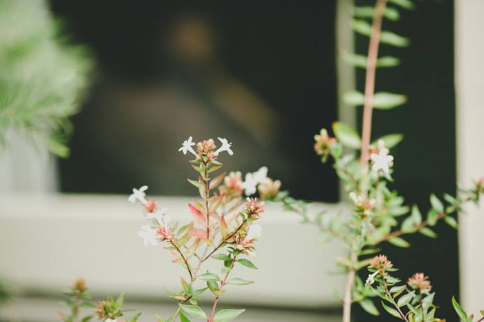 yarra valley wedding photography