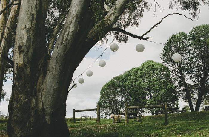 yarra valley wedding photography