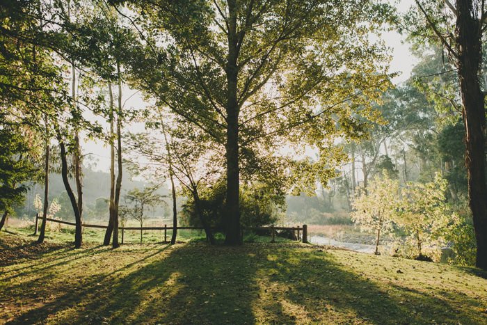 yarra valley wedding photography