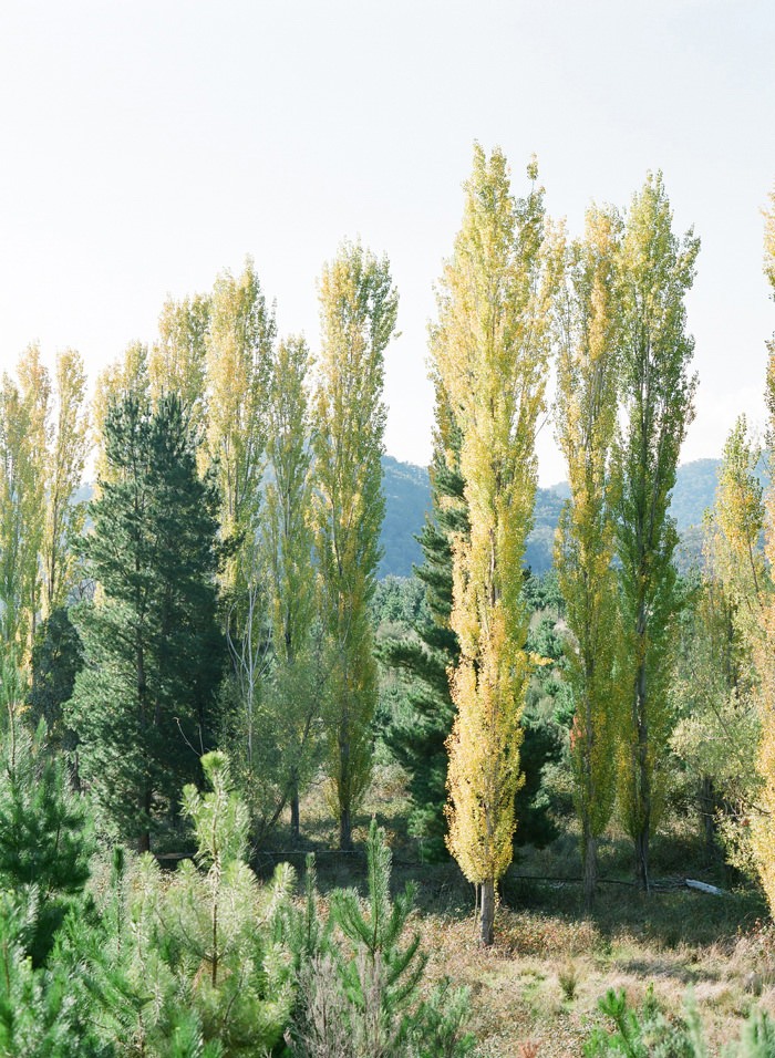 yarra valley wedding photography