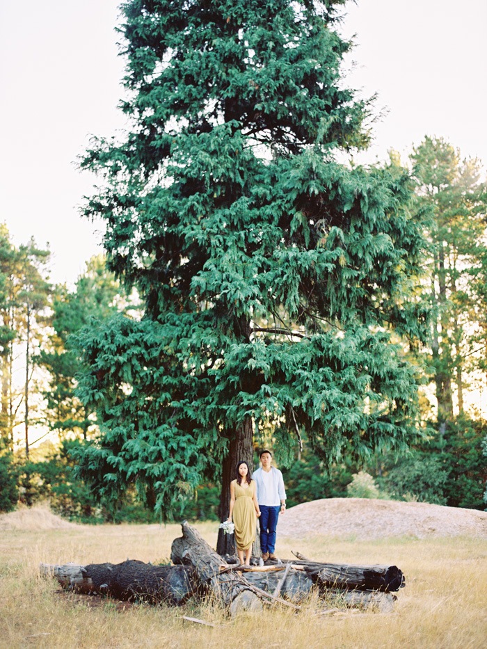 Daylesford pre wedding photos shot on kodak film at dusk and sunset