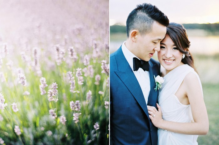 bride and groom sunset portraits in the lavender daylesford