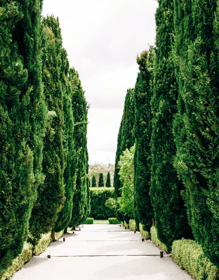 Jewish Wedding Lavandula Farm white marquee wedding daylesford hepburn springs