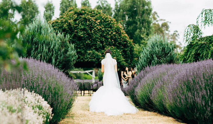 Jewish wedding