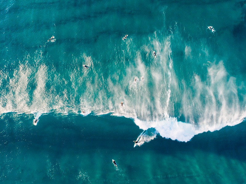 surfer at bondi beach