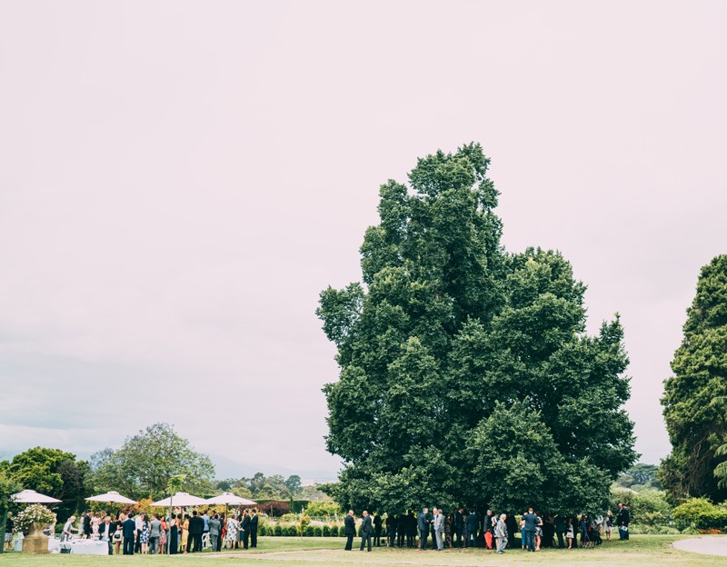 yarra valley wedding photography