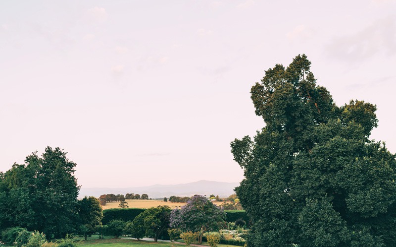 yarra valley wedding photography