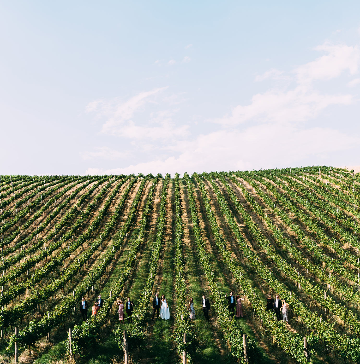 vineyard wedding yarra valley